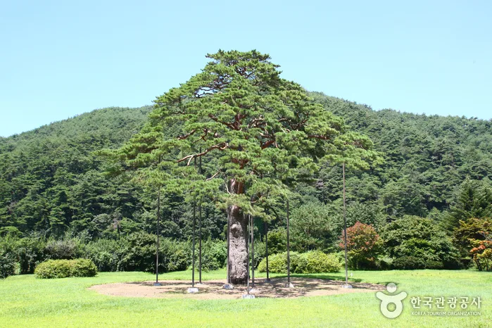 속세를 떠나 풍경을 만나는 곳