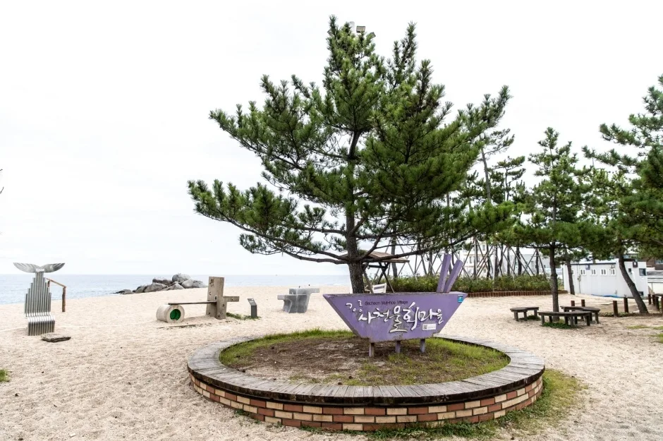 강릉시_사천해변(사천해수욕장) (4).jpg