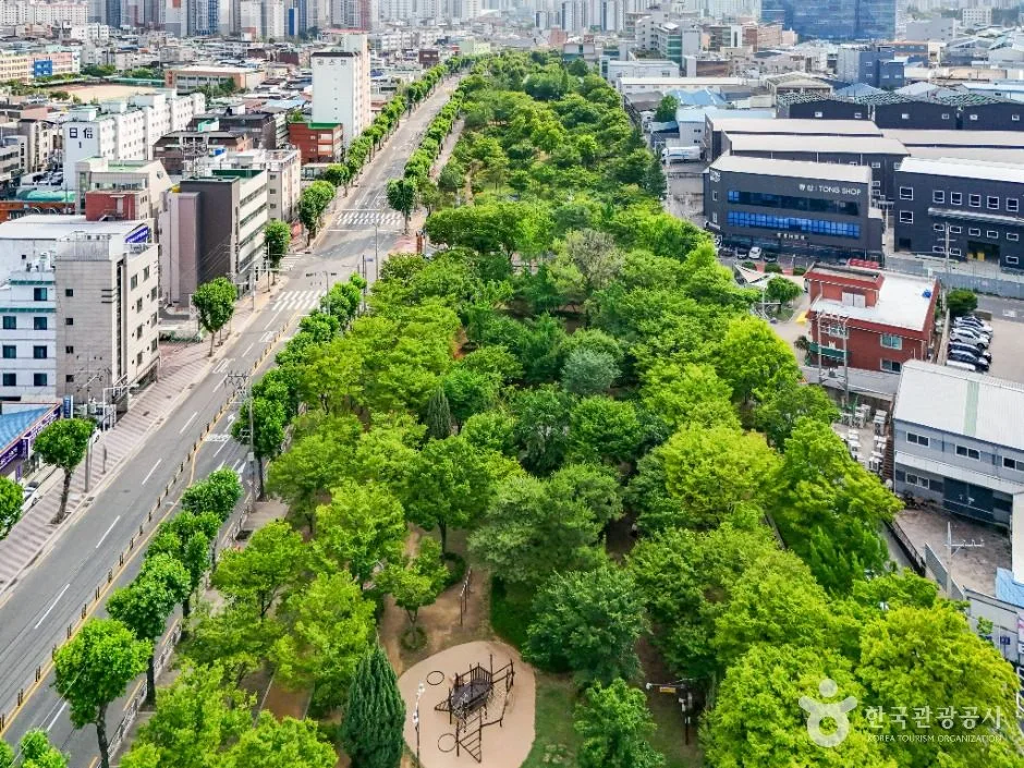 그린웨이 백합원2_ⓒ 대구광역시 서구청