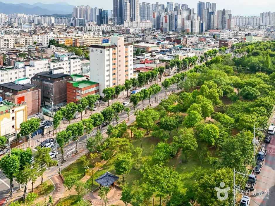 대구_서구 그린웨이 상록수원 (5)