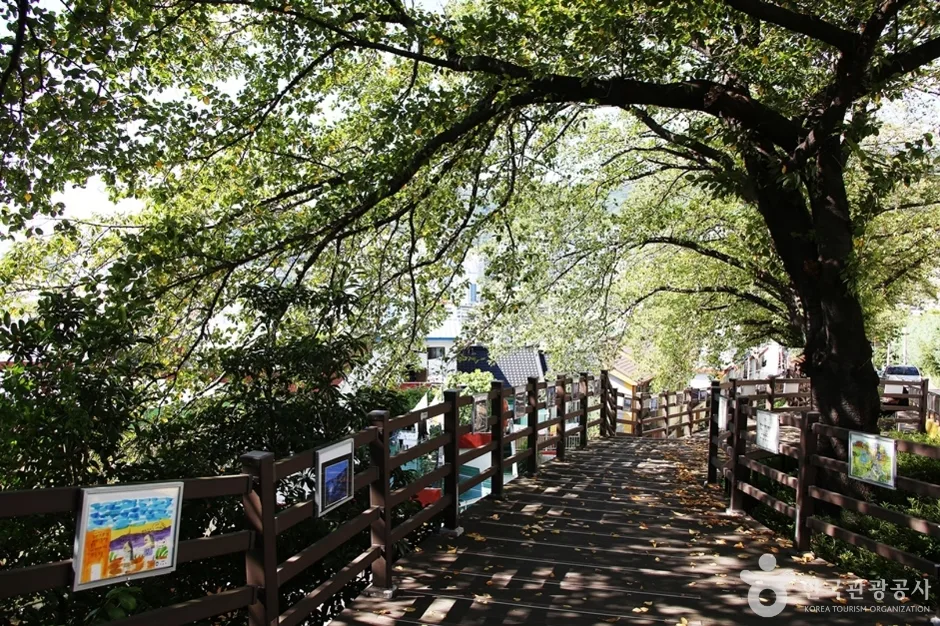 개금벚꽃문화길 (17)