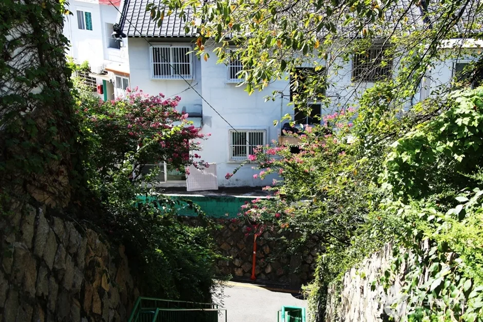 개금벚꽃길