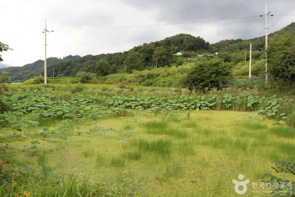 지리산 애완곤충농원 (4)_e