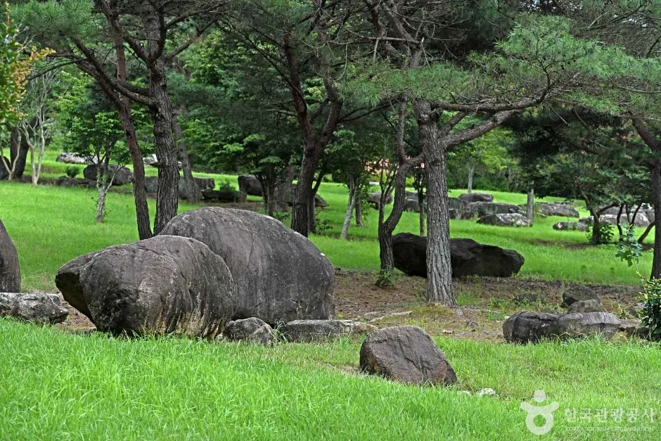순천 고인돌 공원 (3)