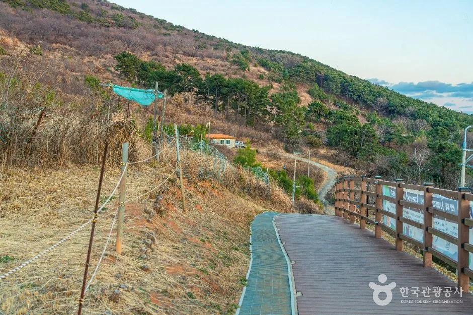 부산_[부산 갈맷길] 5코스 (8)
