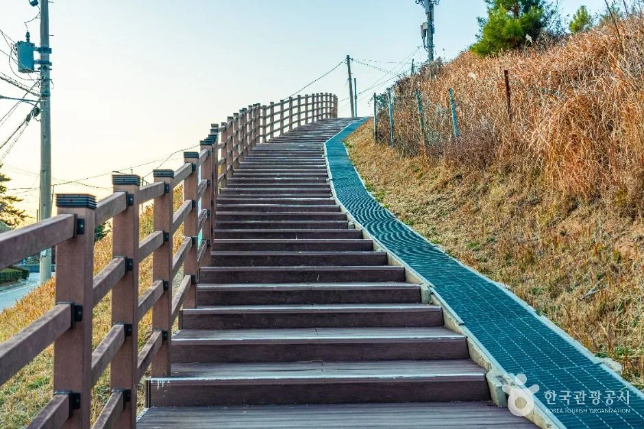 부산_[부산 갈맷길] 5코스 (11)