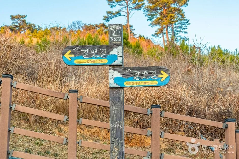 부산_[부산 갈맷길] 5코스 (10)