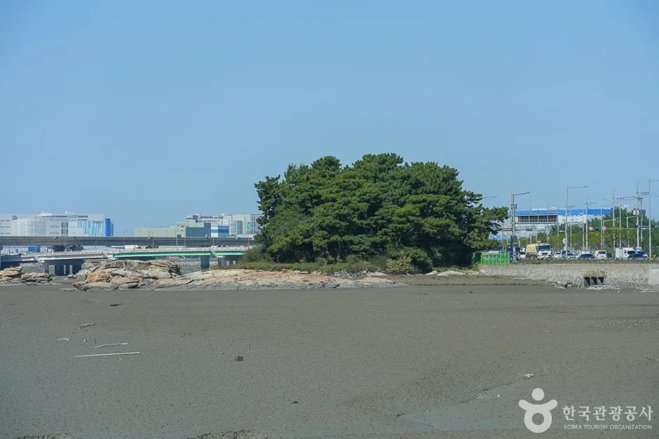 아암도해안공원 (11)
