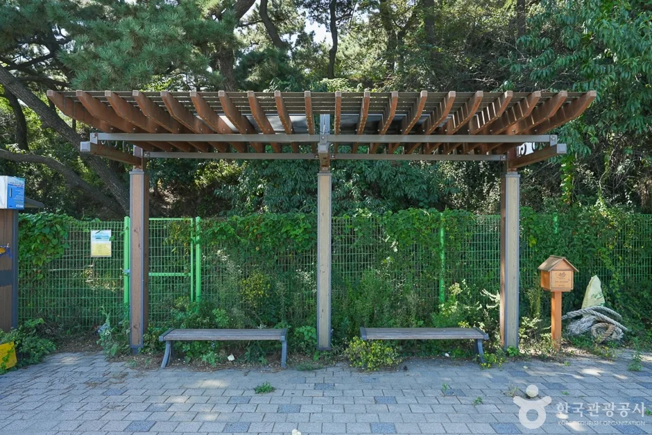 아암도해안공원 (15)