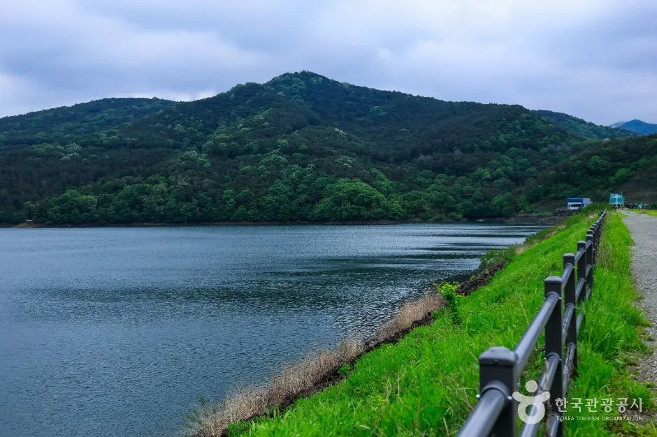 장성호수변공원 (3)