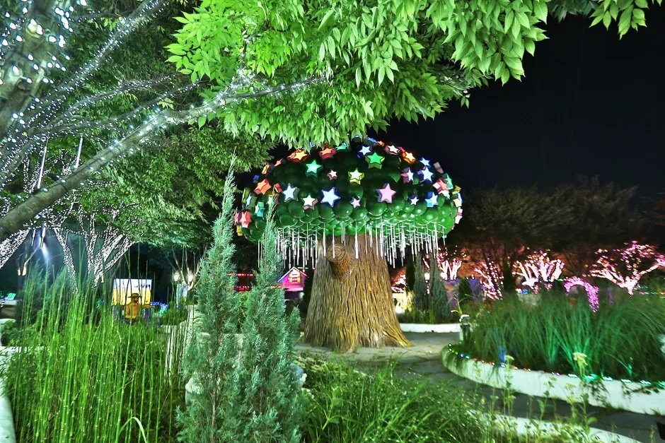 청도 프로방스 빛축제 (7)