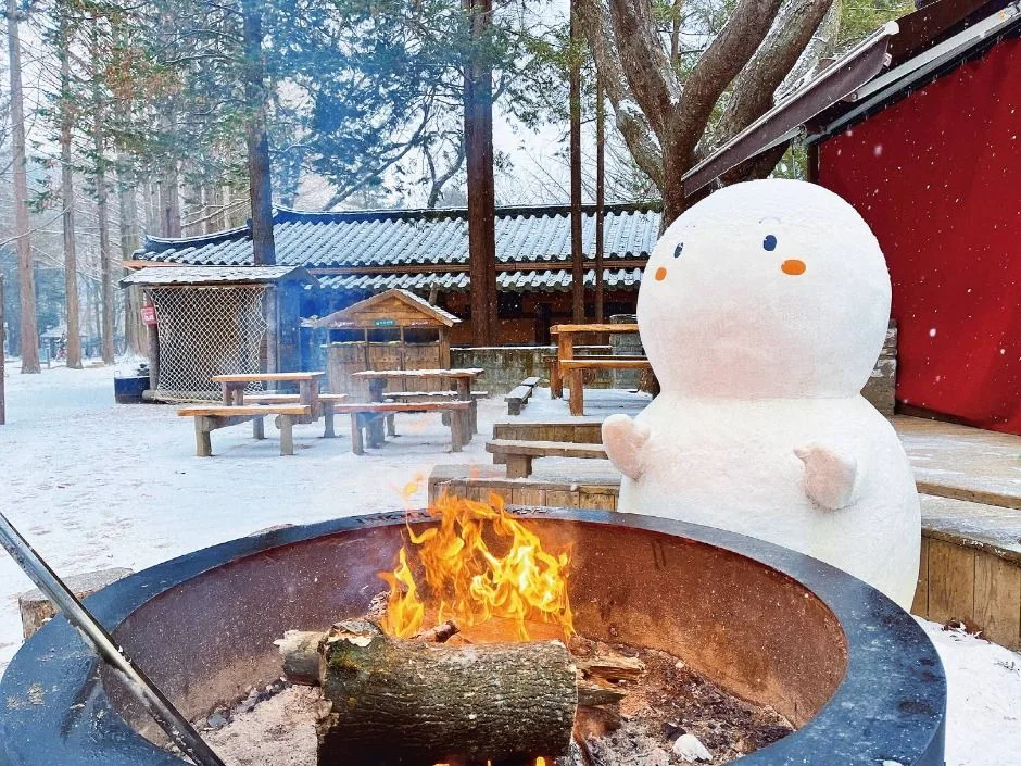 춘천_남이섬 (20).jpg