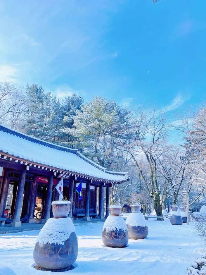 춘천_남이섬 (1).jpg