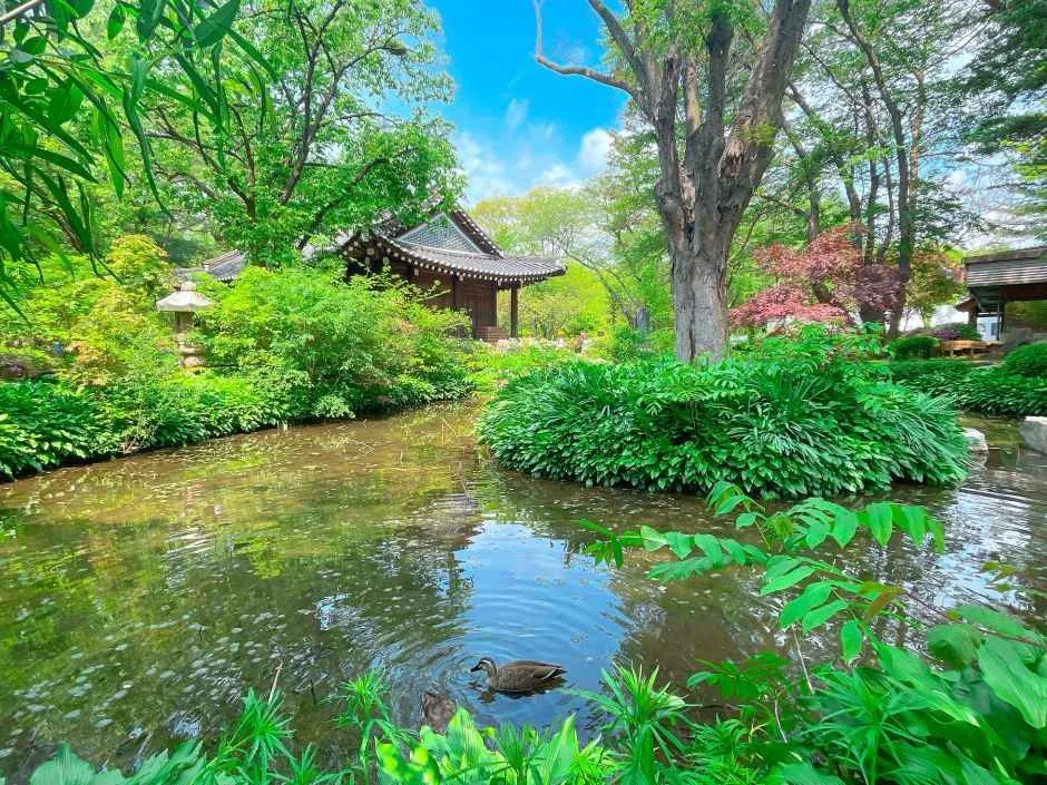 춘천_남이섬 (8)