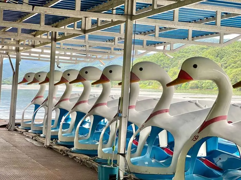 춘천_남이섬 (1)