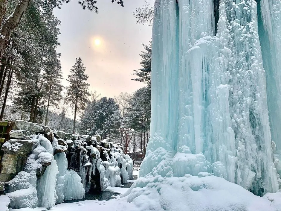 춘천_남이섬 (16).jpg