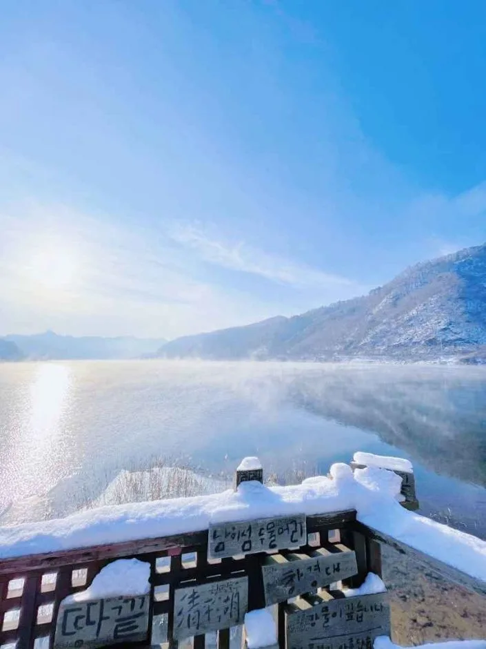 춘천_남이섬 (4).jpg