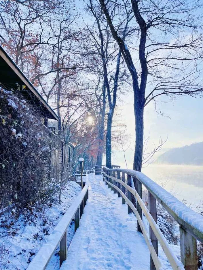 춘천_남이섬 (2).jpg
