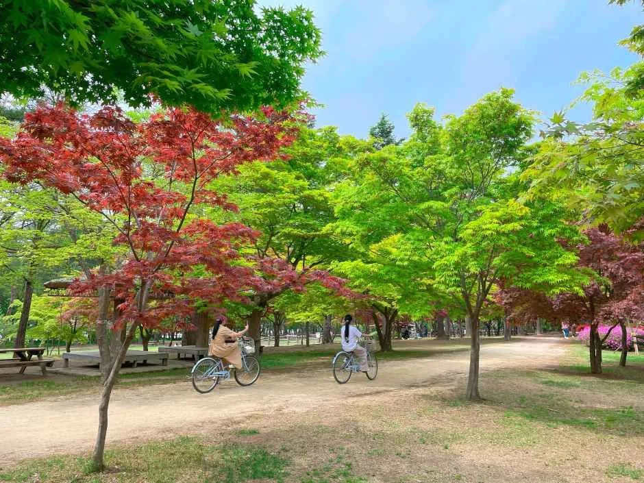 남이섬 (3)