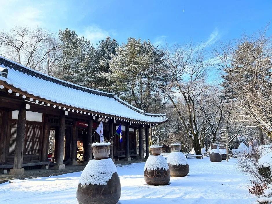 춘천_남이섬 (12).JPG