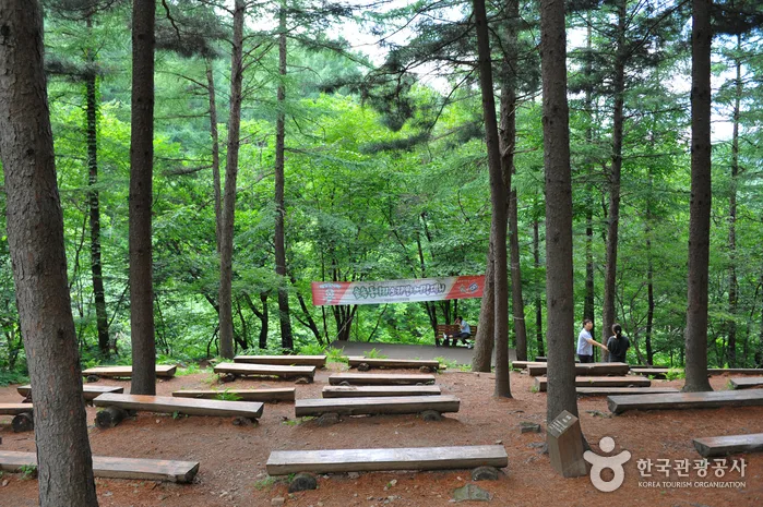 중미산자연휴양림_08