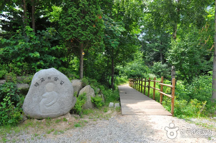중미산자연휴양림_20