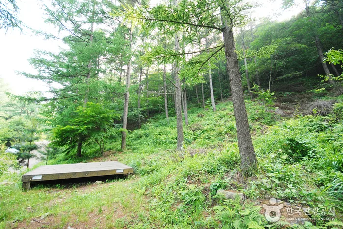 중미산자연휴양림