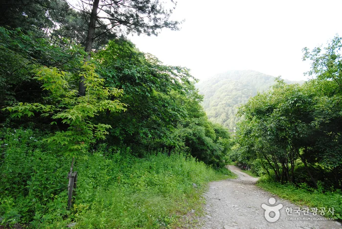 중미산자연휴양림_11