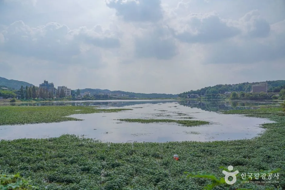 안성_칠곡호수공원 (6).jpg