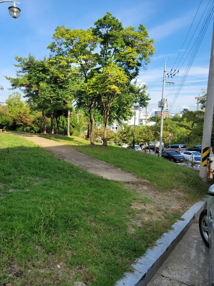 해맞이공원_산책로