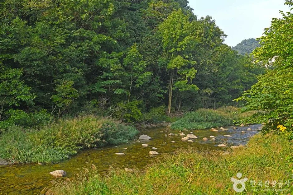 연가리계곡 (5)
