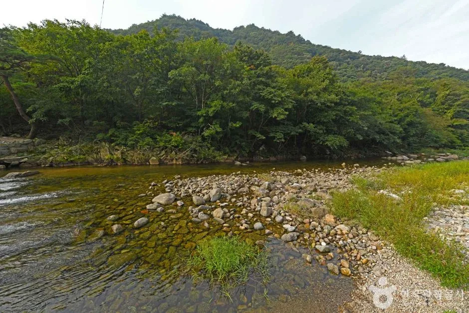 연가리계곡 (6)