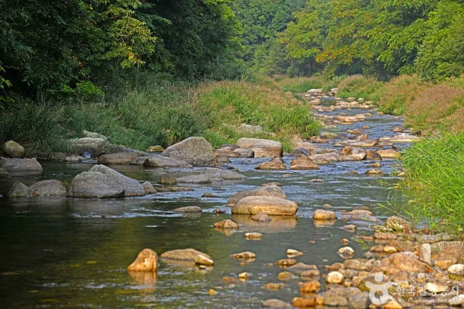 연가리계곡 (3)
