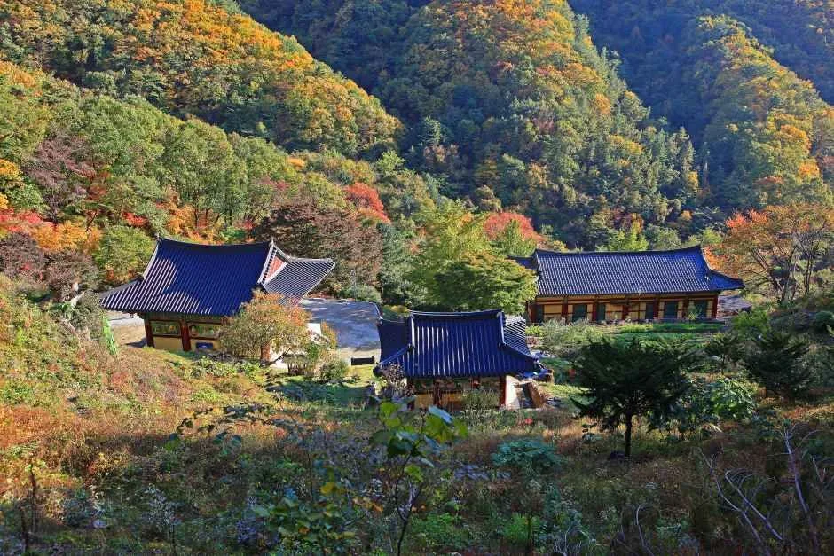 원주_치악산 영원사 (2).jpg