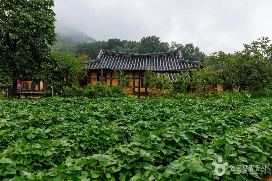고성_고성 왕곡마을 (9)