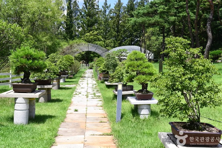 전남_담양_테테루 테마파크 (7)