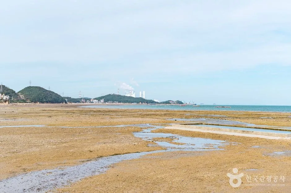 당진_용무치항 (3)