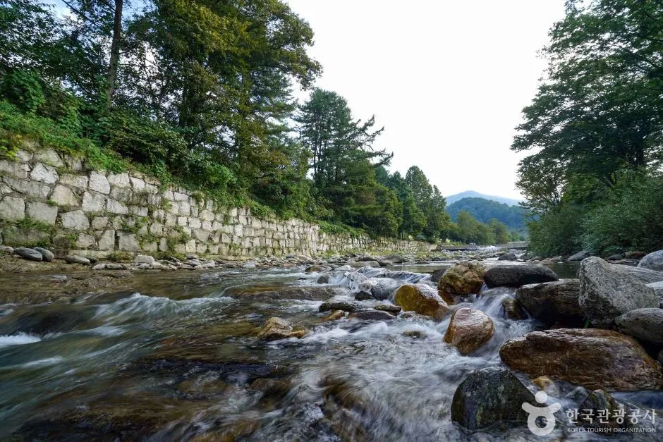 경기_가평_어비계곡 (5)