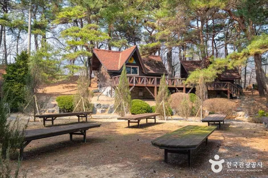 보광산관광농원 (10)