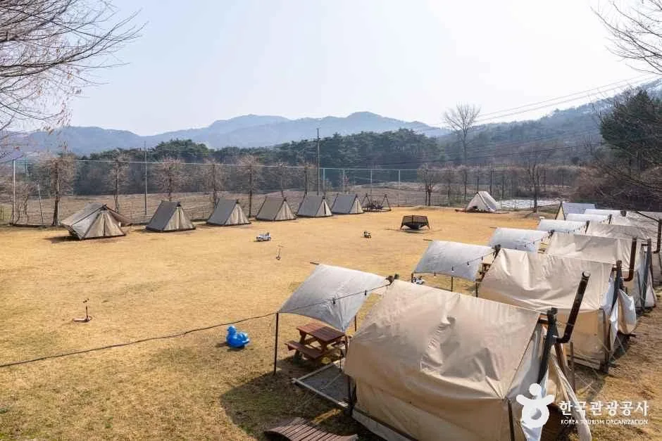 보광산관광농원 (15)