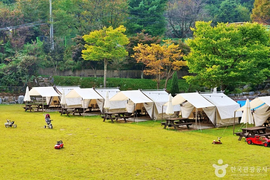 충북_괴산_보광산관광농원_외부_7.jpg