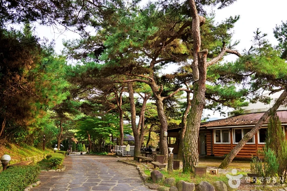 보광산관광농원 (7)