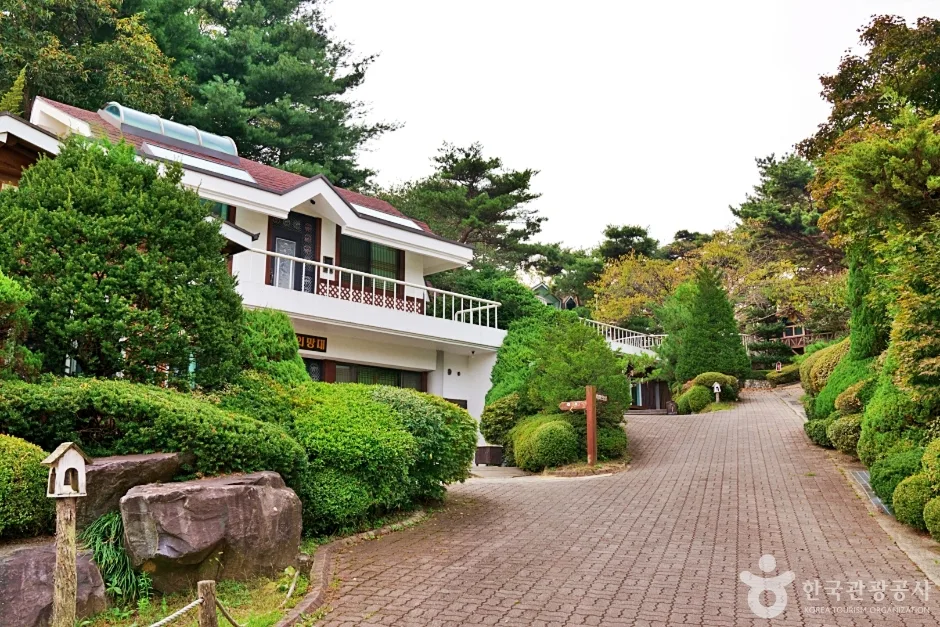 보광산관광농원 (5)