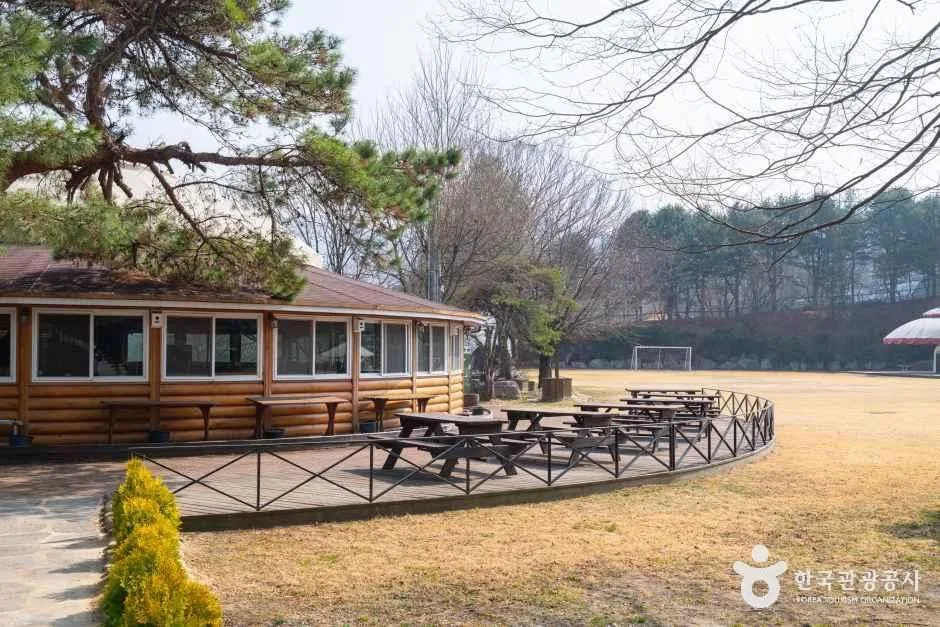 보광산관광농원 (9)