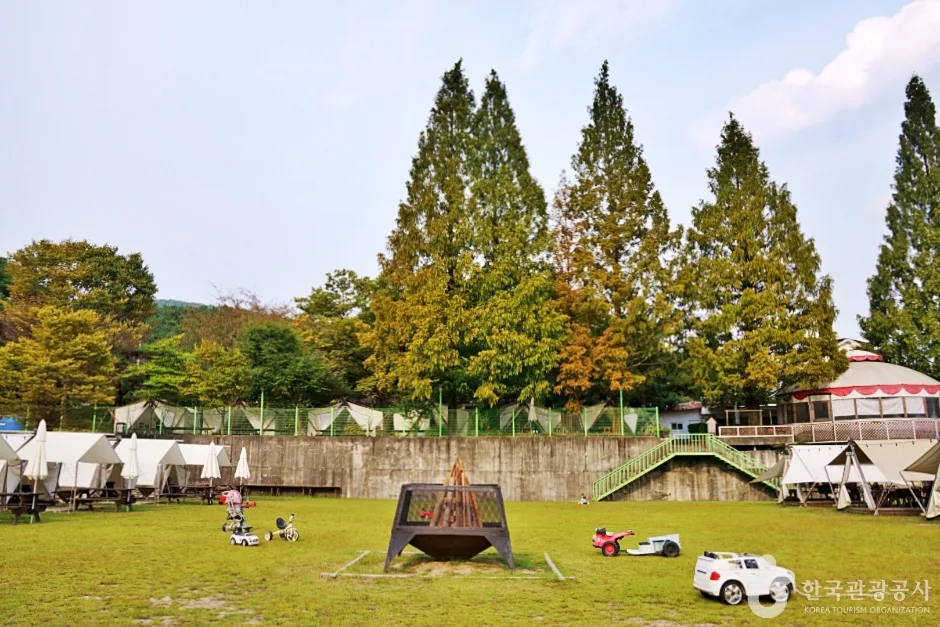 충북_괴산_보광산관광농원_체험.jpg