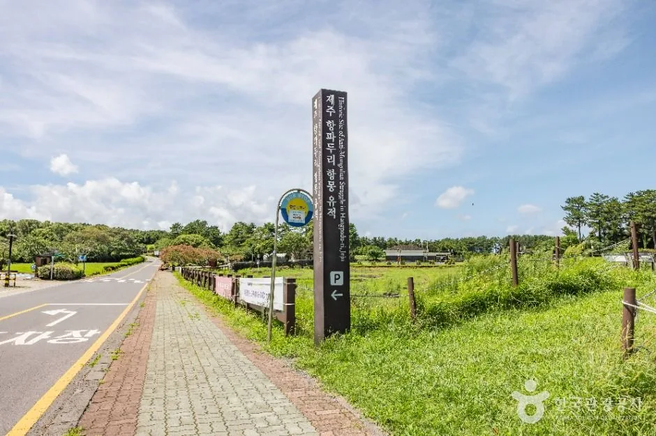 제주_항파두리 항몽유적지_외부 (1).jpg