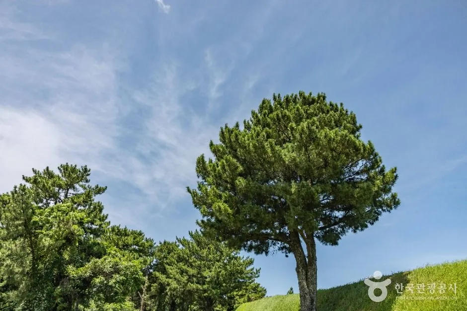 제주_제주 항파두리 항몽 유적 (2).jpg