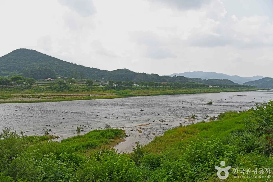 달천 (1)