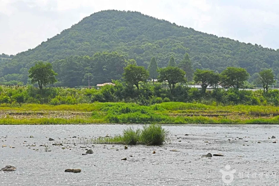 달천 (3)
