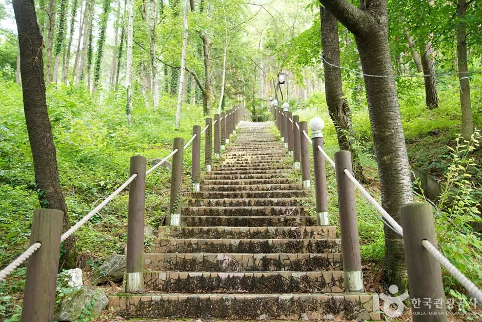 조양산 (10)